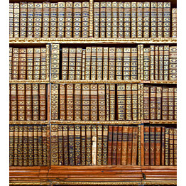 Kuvatapetti Dimex  Library  225 x 250 cm
