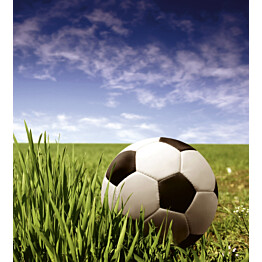 Kuvatapetti Dimex  Soccer Ball 225 x 250 cm