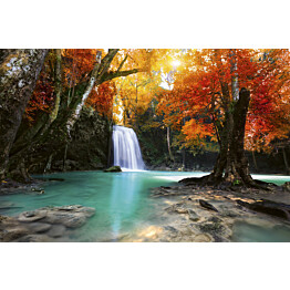 Kuvatapetti Dimex  Deep Forest Waterfall  375 x 250 cm