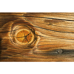 Kuvatapetti Dimex  Wood Knot 375 x 250 cm