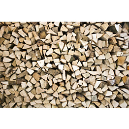 Kuvatapetti Dimex  Timber Logs 375 x 250 cm