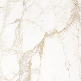 Laatta GoldenTile Saint Laurent 60,7x60,7cm valkoinen