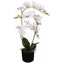 Tekokukka ruukulla orkidea 65 cm valkoinen_1