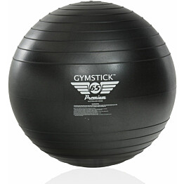 Jumppapallo Gymstick Premium Fitness Ball 65 cm