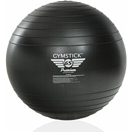 Jumppapallo Gymstick Premium Fitness Ball 55 cm