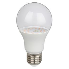 Kasvilamppu Globo LED 9 W E27 IP20 115 mm Ø 60 mm kirkas