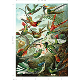 Kuvatapetti Esta Paradise XL Birds Tropical Jungle Green 2x2,79m