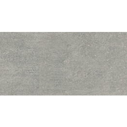 Lattialaatta Pukkila Newcon Silver Grey himmea karhea 597x297mm