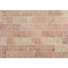 Marmorilaatta Qualitystone Terra Marble Tile 100x200 mm