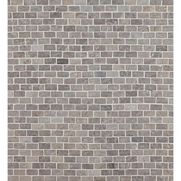 Mosaiikkilaatta Qualitystone Brick Mini Light Grey 20x40 mm
