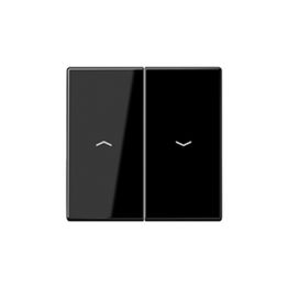 Painike Ensto Intro - 1+1/10AX/250V/IP21 UKJ 0X musta