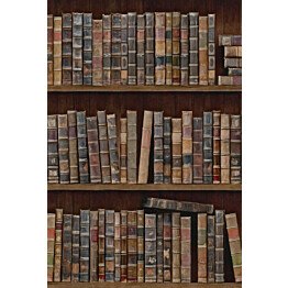Paneelitapetti Mindthegap Book Shelves 1,56x3 m