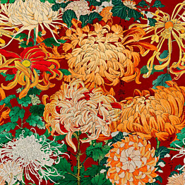Paneelitapetti Mindthegap Chrysanthemums 1,56x3 m punainen