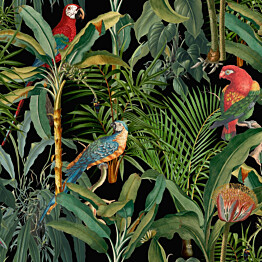 Paneelitapetti Mindthegap Parrots of brasil 1,56x3 m musta