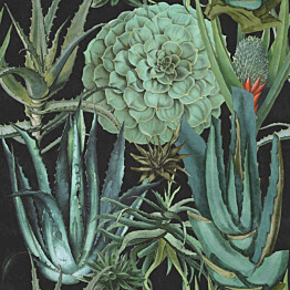Paneelitapetti Mindthegap Succulentus Anthracite 1,56x3 m