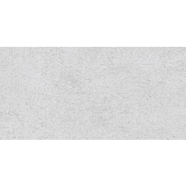 Seinälaatta Laattapiste LPC Neutro NTR matta tasapintainen valkoinen 40x20cm