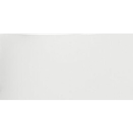 Seinälaatta Pukkila White kiiltävä sileä 600x300 mm