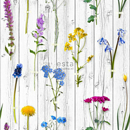 Tapetti Esta Greenhouse 158828 46,5 cm x 8,37 m valkoinen/harmaa/vihreä/keltainen/sininen/liila/violetti