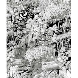 Tapetti Trollskogen 5223-1 0,53x11,2 m harmaa