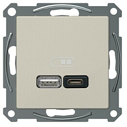 USB-latauspistorasia Schneider Electric A + C 2,4 A metalli Exxact