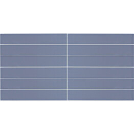 Välitilanlevy Berry Alloc Sininen 0458 kuvio 10x60 cm levy 3x600x1200 mm