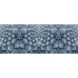 Valokuvatapetti Quattro Blue Organic 8-osainen 372x280 cm