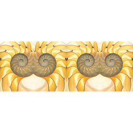 Valokuvatapetti Quattro Fibonaci 8-osainen 372x280 cm