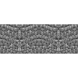 Valokuvatapetti Quattro Micro Macro 8-osainen 372x280 cm