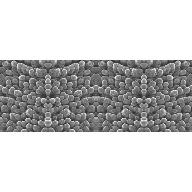 Valokuvatapetti Quattro Micro Macro 8-osainen 372x280 cm