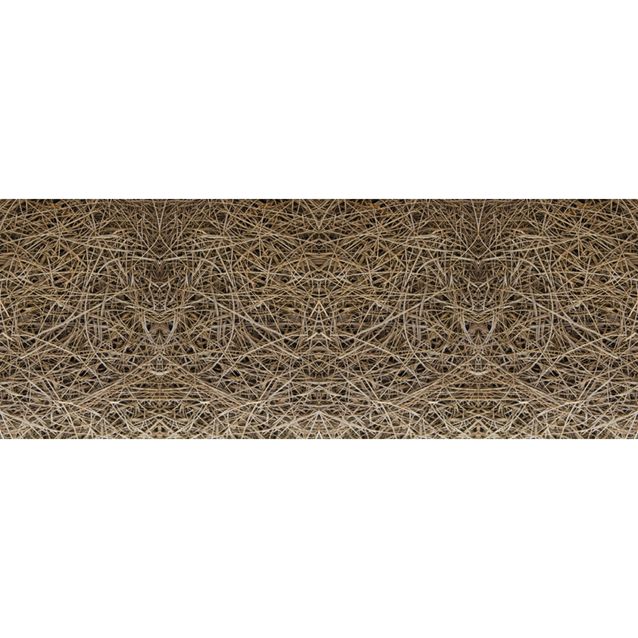 Valokuvatapetti Quattro Reed 8-osainen 372x280 cm