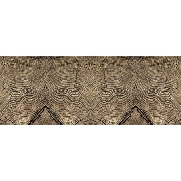 Valokuvatapetti Quattro Tree Rings 8-osainen 372x280 cm