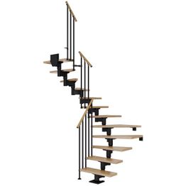 Portaat Dolle Cork, Classic III -kaide, lakattu tammi, U-malli, eri värejä ja kokoja