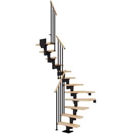 Portaat Dolle Dublin Classic III -kaide lakattu pyökki musta U-malli eri kokoja