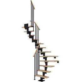 Portaat Dolle Dublin Classic III -kaide lakattu tammi musta U-malli eri kokoja