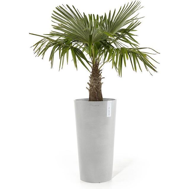 Kukkaruukku Ecopots Amsterdam keskikorkea, 66cm