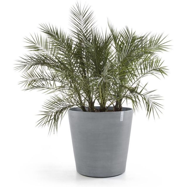 Kukkaruukku pyörillä Ecopots Amsterdam