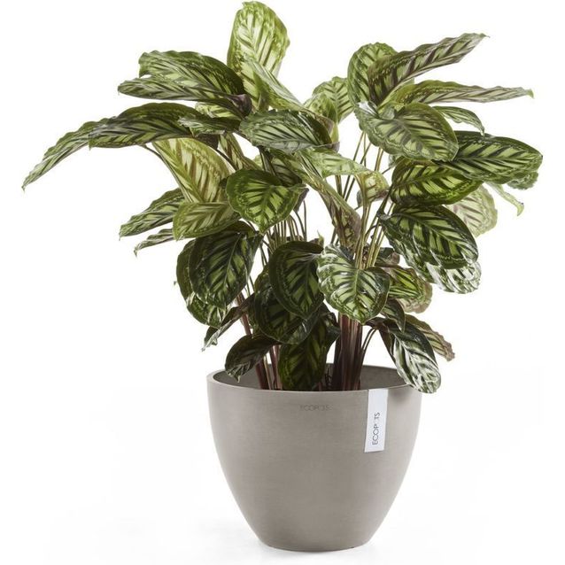 Kukkaruukku Ecopots Antwerpen