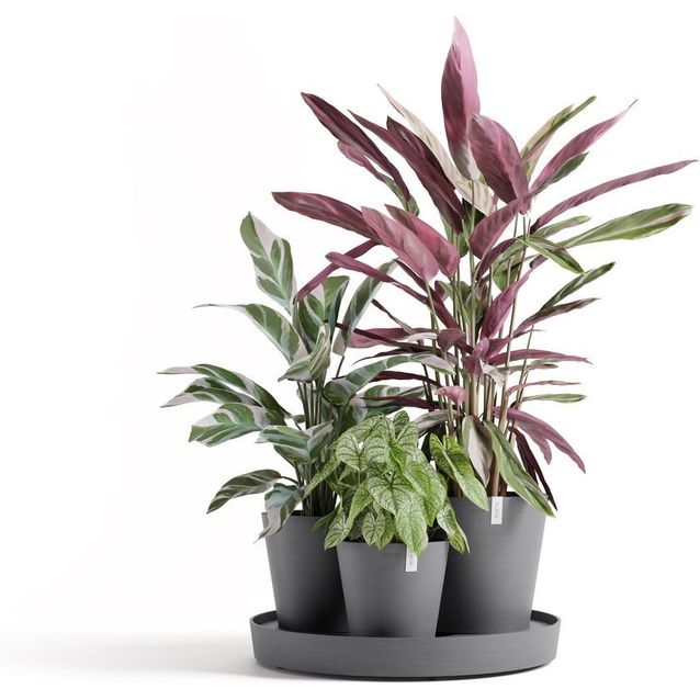 Kukkaruukku Ecopots Dubai