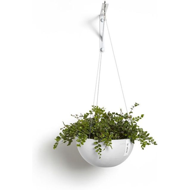 Ripustettava kukkaruukku Ecopots Brysseli