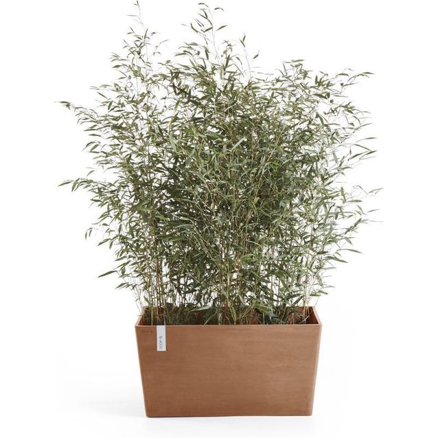 Kukkaruukku Ecopots Pariisi