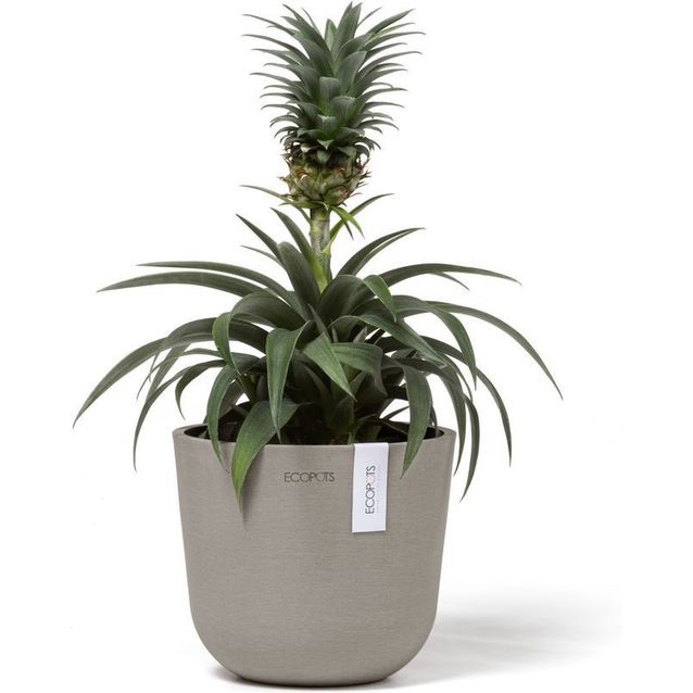 Kukkaruukku Ecopots Oslo Mini