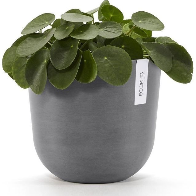 Kukkaruukku Ecopots Oslo
