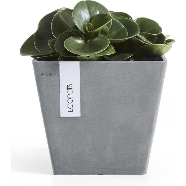 Kukkaruukku Ecopots Rotterdam