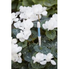 Ruukun kosteustason mittaaja Ecopots, eri kokoja