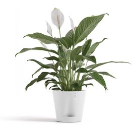 Kukkaruukku Ecopots Venetsia 2.0, eri kokoja ja värejä