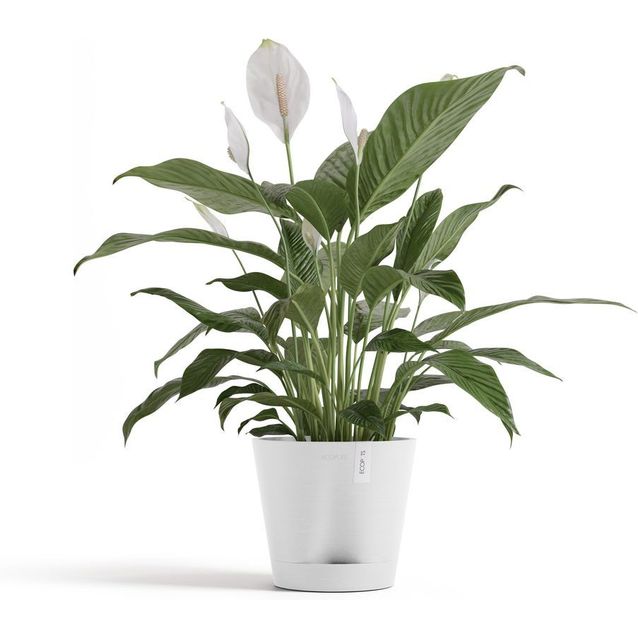 Kukkaruukku Ecopots Venetsia 2.0