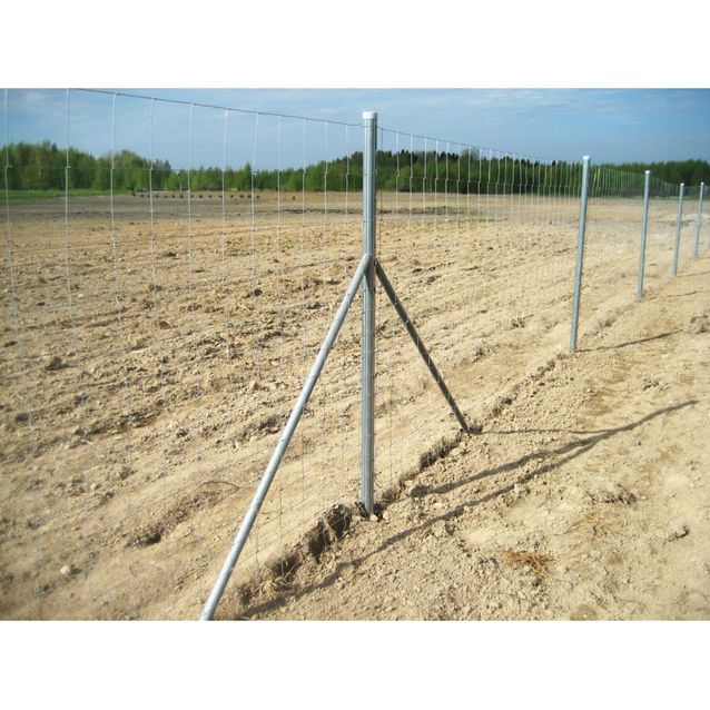 Eläinverkko Zn 1,5x50 m muuttuva silmäkoko