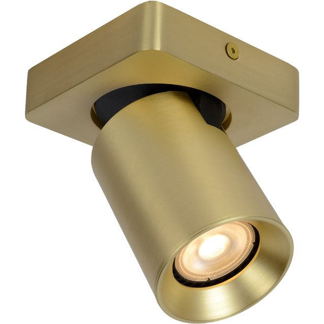 Kattospotti Lucide Nigel 