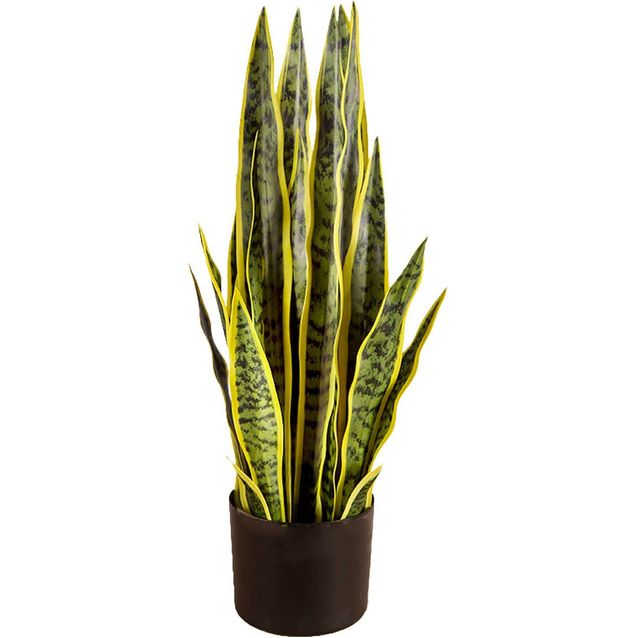 Tekokasvi Lykke Snake Plant, 65cm
