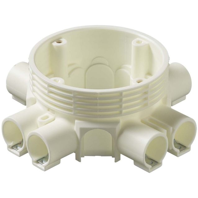 Jakorasia nysällinen AU 8